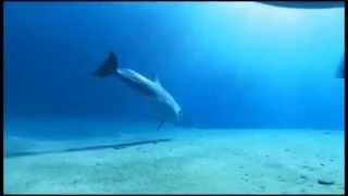 Vangelis   Memories Of Blue