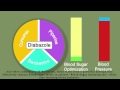 Diabazole Ant Diabetic Medication Animated Video Cartoons Explainer Videos