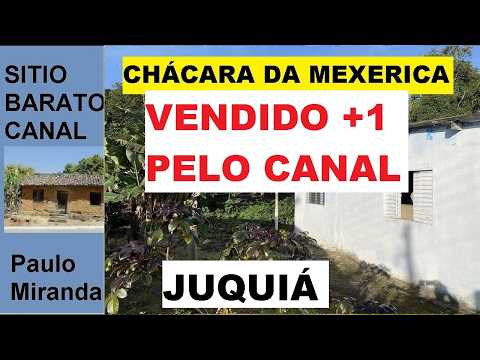 VENDIDA CHÁCARA BARATO EM JUQUIÁ COM MUITAS FRUTAS