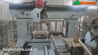 MÁY CNC 3D 5 Trục Woodmaster - MÁY GIA CÔNG TRUNG TÂM 5 Axis tốt nhất thị trường VN