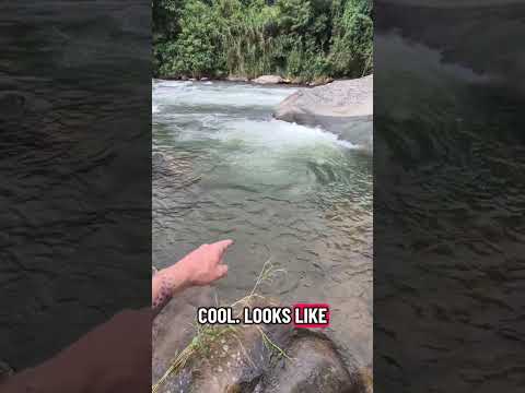 Cool River Swimming In Costa Rica #travel #costarica