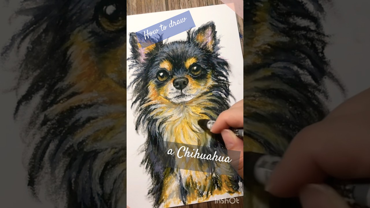 【数十秒で理解できる】チワワを上手に描く方法withクレヨン　#drawingtutorial #イラスト #クレヨンアート #犬好きさんと繋がりたい #チワワ #イラストメイキング