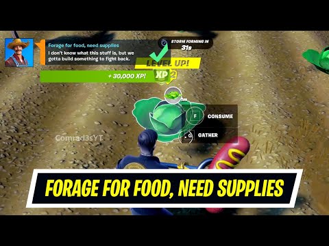 Collect Forged Items (5) in Fortnite - Week 4 Legendary Quest