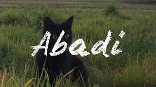 Download lagu biarpun kita hilang tak lagi bersama DENDI NATA-ABADI (Speed up   Reverb)#soundtiktokviral mp3