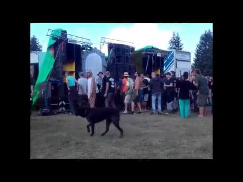 Free Party La Zionterie Family // Les Insatisfaits - 22/07/2017