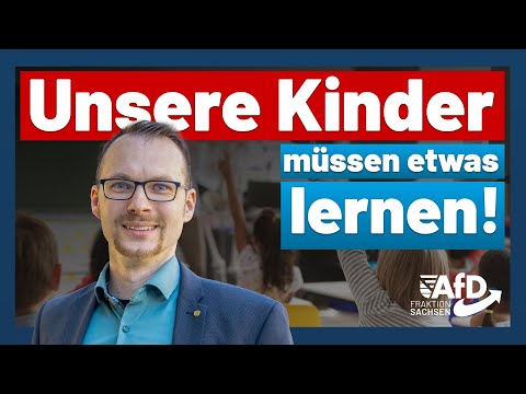 Unsere Kinder müssen etwas lernen! Tobias Heller (AfD)