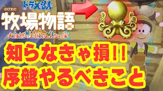 知らなきゃ損！知っておくと超楽に金策できて序盤快適！ドラえもんのび太の牧場物語 大自然の王国とみんなの家【攻略】