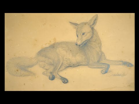 - The psyche of the fox - / Carl Friedrich Deiker (1836-1892), Vigiland Fox, 1854