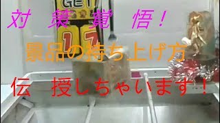 【UFOキャッチャー】景品の持ち上げ方大公開！