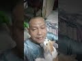 Busybody Cat Bite My Chin