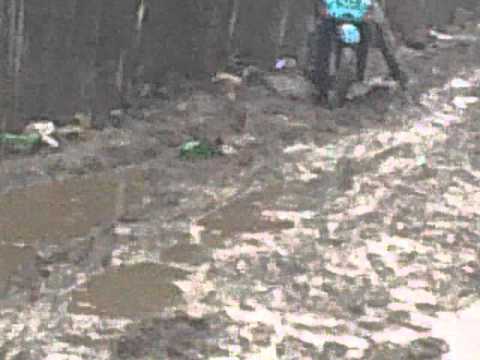 pieleanu viorel  1  copaceanca