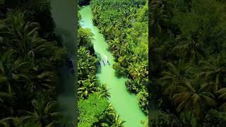 Download lagu @sungaimaron_yakin gak pingin rene , hutan tropis e lhoo😍#pacitan24jam #fyp #foryou #viralvideo mp3