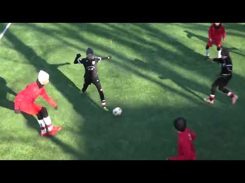 1/2 MKS Polonia Warszawa 4:1 Varsovia Warszawa, sparing 2010