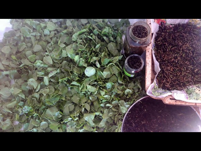 Youtube Video Youtube Video