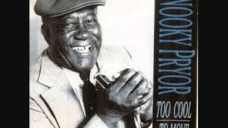 SNOOKY PRYOR    Don´t You Want Know