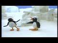 Pingu Disc 118