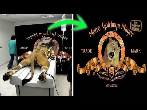 download lagu mp3 mp4 Hollywood Gaming Logo, download lagu Hollywood Gaming Logo gratis, unduh video klip Hollywood Gaming Logo