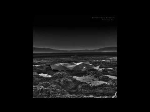 Kangding Ray - Purple Phase [Stroboscopic Artefacts]