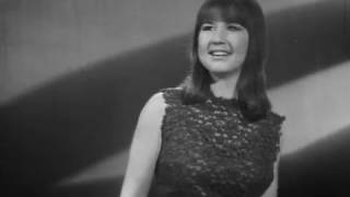 Seekers -  Someday, One Day