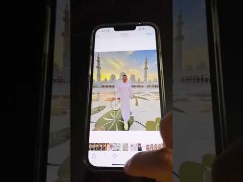 iOS 16: Cómo aislar, copiar y compartir sujetos de fotos