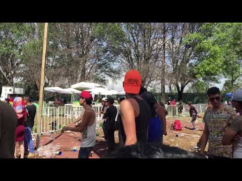 Animalien live @ Yolotl de verano 2018