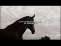 Black Beauty 1994 End Credits