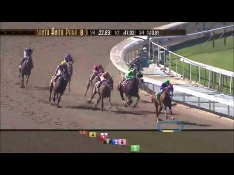 California Chrome all races