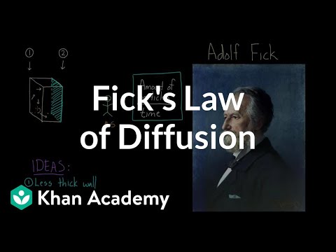 Fick's law of diffusion | Respiratory system...