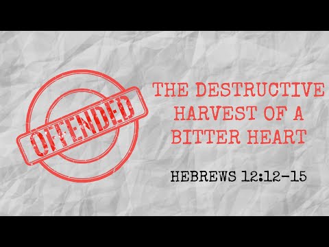 The Destructive Harvest of A Bitter Heart