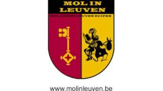 preview picture of video 'MOL IN LEUVEN - PLAN MICHEL III 4 JULI 2008 - fragment boscantus deel 2 - Jef De Veuster'
