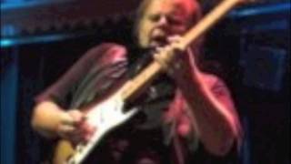 Walter Trout