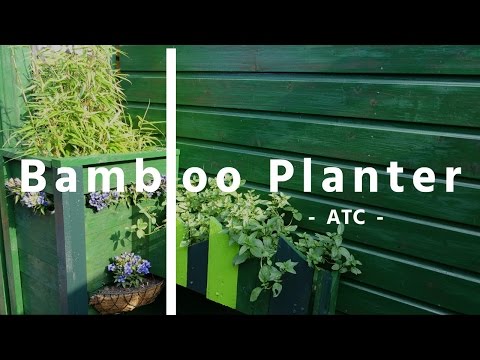 download lagu mp3 mp4 Planter Box Made Of Bamboo, download lagu Planter Box Made Of Bamboo gratis, unduh video klip Planter Box Made Of Bamboo
