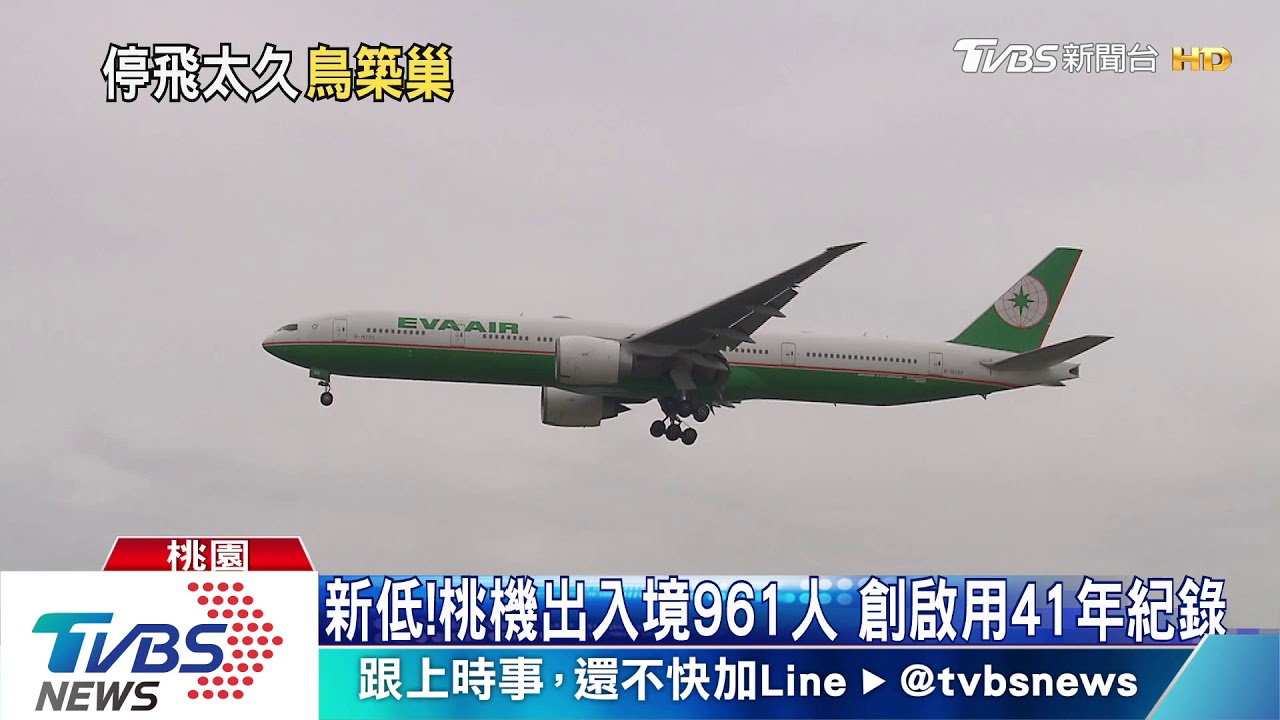 怎麼有鳥!?班機取消飛不了 尾翼遭佔領