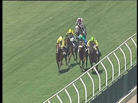 Galoppo 14/06/2017 - 2ª corsa