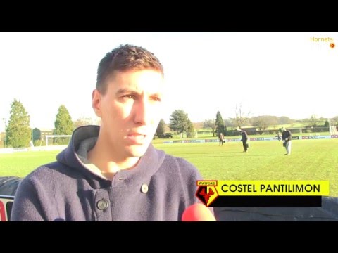 OFFICIAL: Costel Pantilimon On Hornets Move