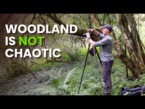 Woodland is NOT Chaotic