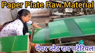 Raw Material Paper Plate | Raw Material Sheet | Arvind Bihar