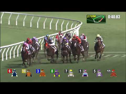 1/6/2022 (718) Gorgeous Vitality - Z Purton