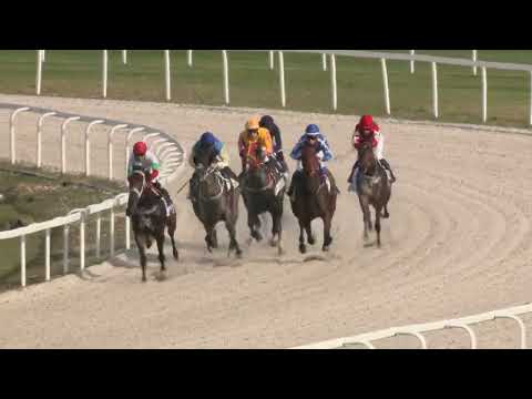 2022.10.09. 05. futam - MATE GEORGIKON HENDIKEP (II.o.) (szintetikus pálya)