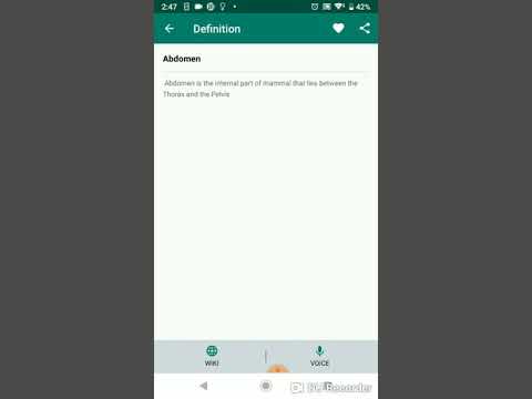 How to Create Android Dictionary App From Scratch