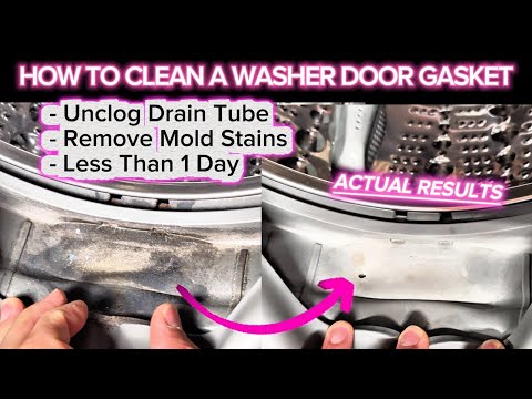 How to Clean and Remove Mold Stain from Washer Door Gasket