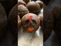 Gauri Ganesh Celebrations Ganesh Gauri Ganeshchaturthi Festival Tradition Culture Hindu