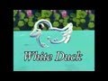 The Little White Duck 