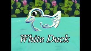 The Little White Duck