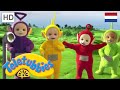 Teletubbies Nederlands | Regenboog | kinder programmas | tekenfilms | animatie | 1555