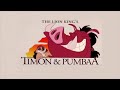 Disney S Timon Pumbaa Disney ABC Korean Intro NaQis Friends HiT 1995 1999 W Out First Line