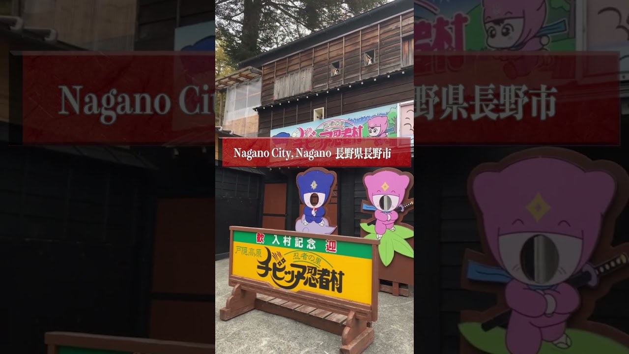 Nagano, the Land of Real Ninja | 戸隠流忍法資料館, 戸隠民俗館,戸隠チビッコ忍者村 #shorts