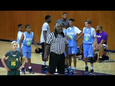 HCE Gym Ratz 13U (38) vs. Fab 5 Green (32) - 06-24-2017