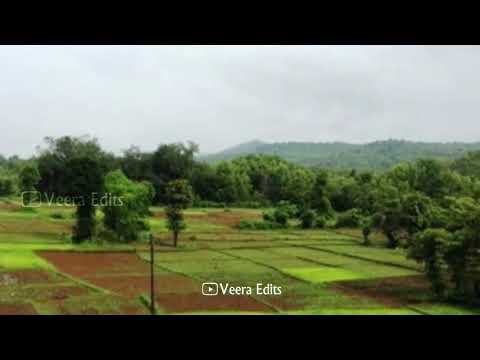 thekke adikkuthu kaththu what's app status