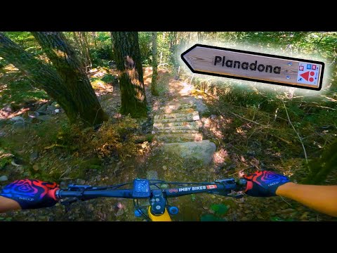 This Trail Was 𝙁𝙖𝙨𝙩𝙚𝙧 Than I Could Read